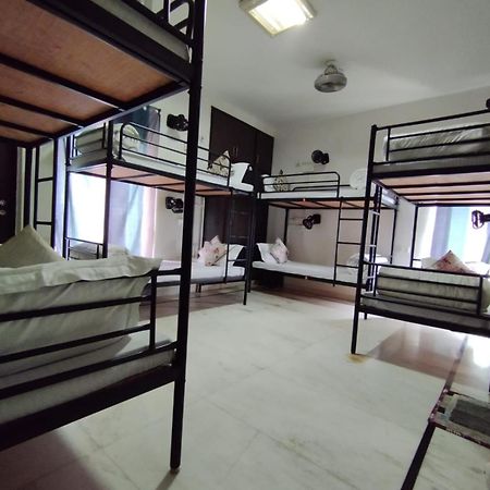 A Sleepy Fox Hostel Nowe Delhi Zewnętrze zdjęcie